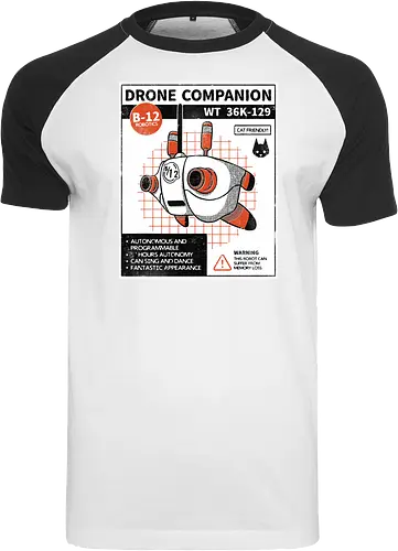 Drone companion