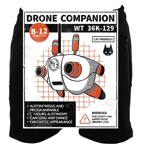 Drone companion