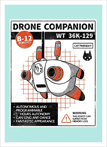 Drone companion