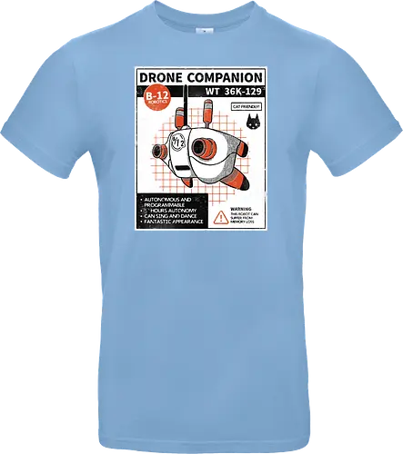 Drone companion