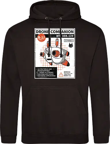 Drone companion