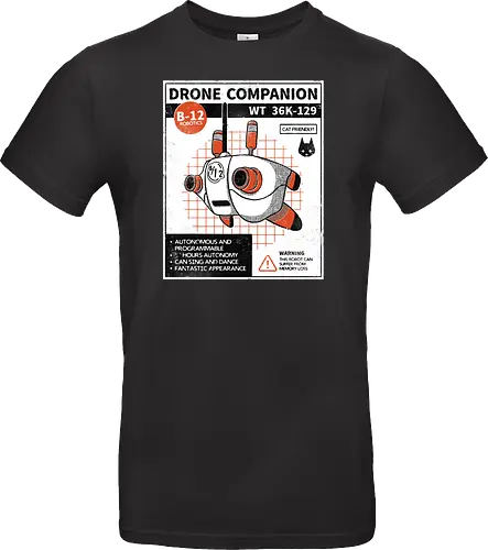 Drone companion