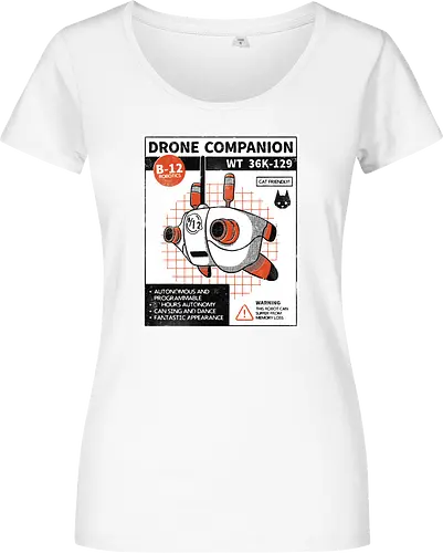 Drone companion