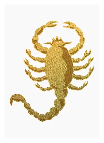 Scorpion