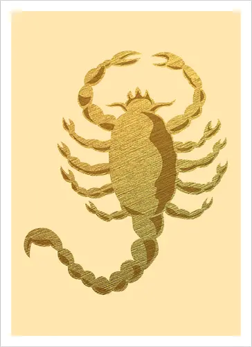 Scorpion