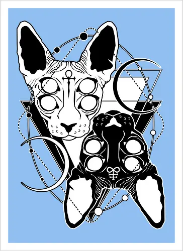 Duality