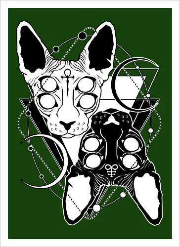 Duality