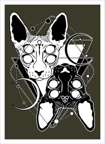 Duality