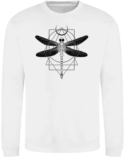 Magical Cosmic Dragonfly
