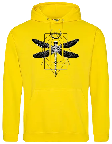 Magical Cosmic Dragonfly