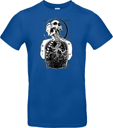 Atypical Anatomy