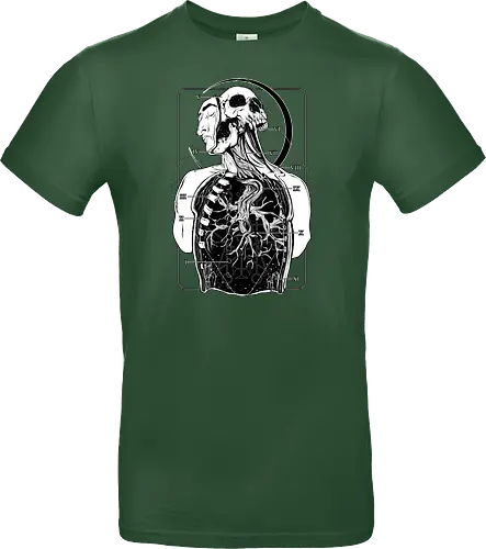 Atypical Anatomy