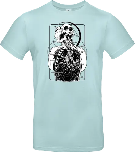 Atypical Anatomy