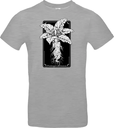 Mandragora Officinarum - The Scream of Death