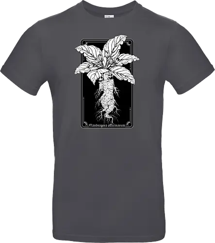Mandragora Officinarum - The Scream of Death