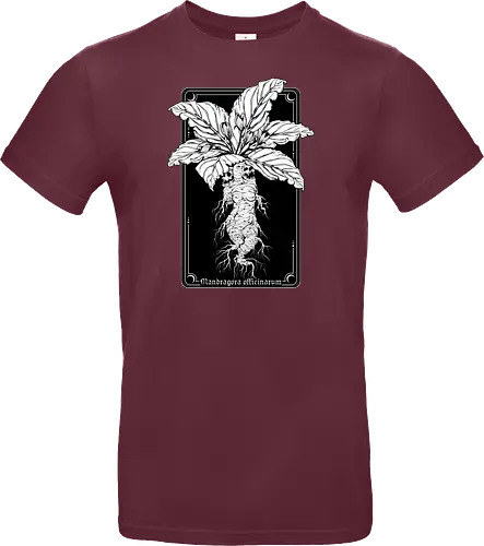 Mandragora Officinarum - The Scream of Death