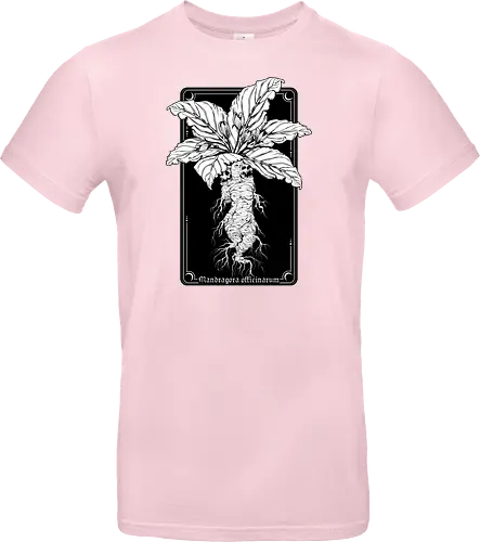 Mandragora Officinarum - The Scream of Death