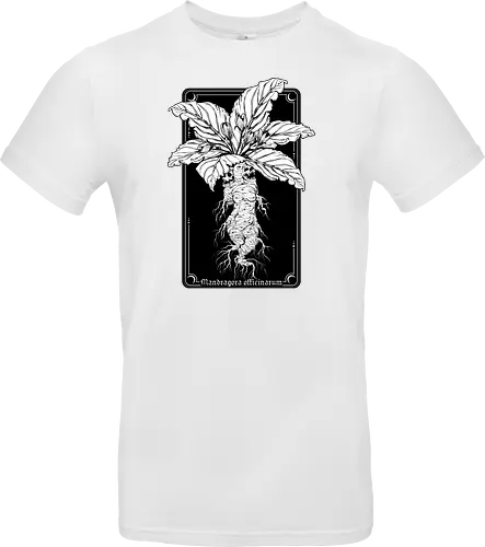 Mandragora Officinarum - The Scream of Death