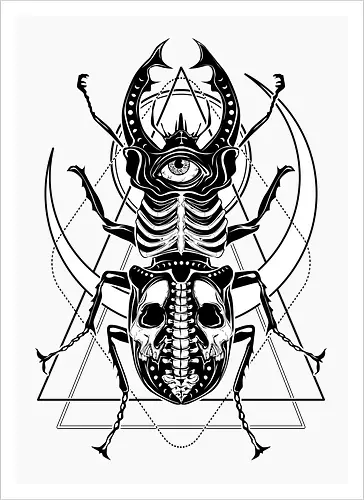 Beetle Gaze