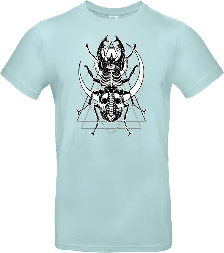 Beetle Gaze