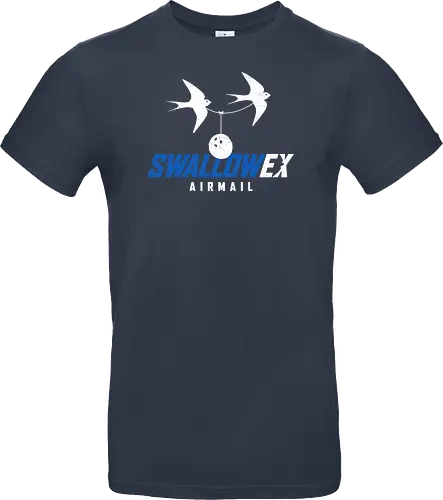 SWALLOW EX Airmail