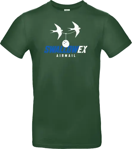 SWALLOW EX Airmail