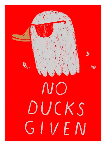 No Ducks
