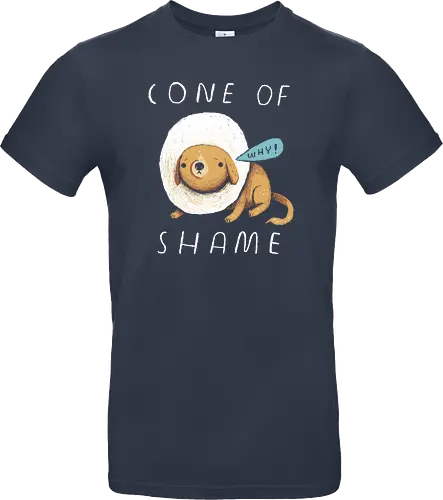 Cone of Shame
