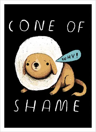 Cone of Shame