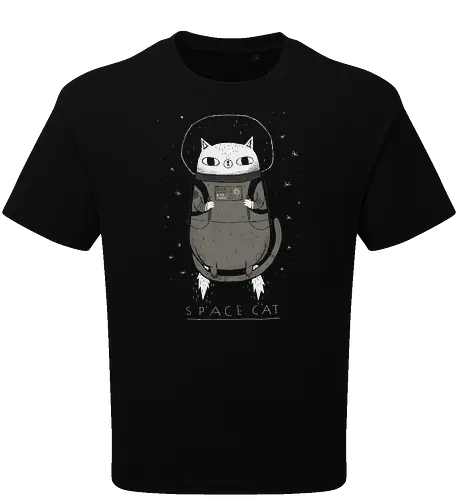 Space Cat