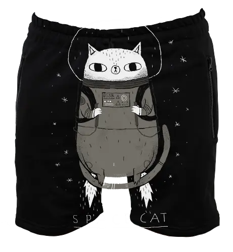Space Cat