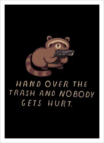 Raccoon