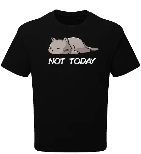 Not Today Cat