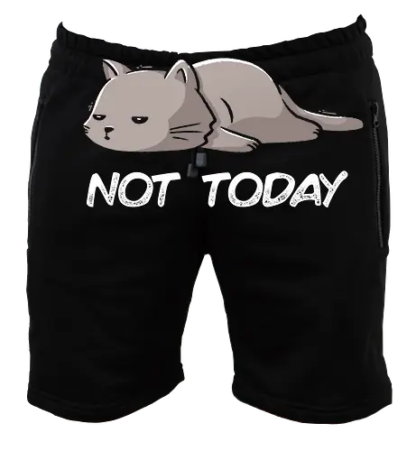 Not Today Cat