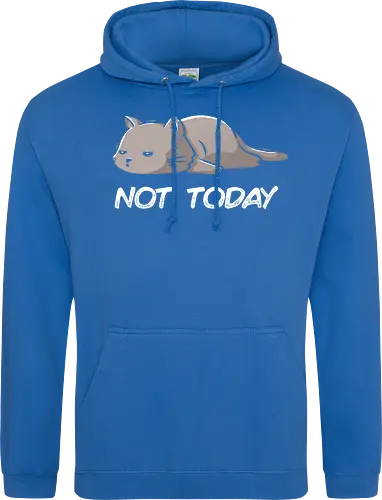 Not Today Cat