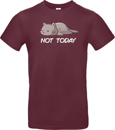Not Today Cat - cat, lazy, katze, not today, nicht heute, unlust, faulheit, neko - Standard T-Shirt