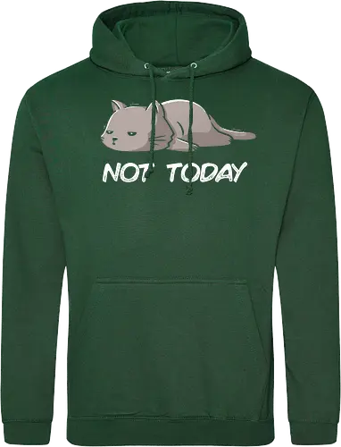 Not Today Cat - cat, lazy, katze, not today, nicht heute, unlust, faulheit, neko - Standard Hoodie