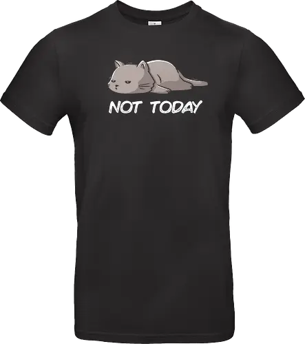 Not Today Cat - cat, lazy, katze, not today, nicht heute, unlust, faulheit, neko - Standard T-Shirt