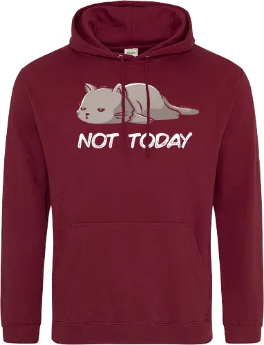 Not Today Cat