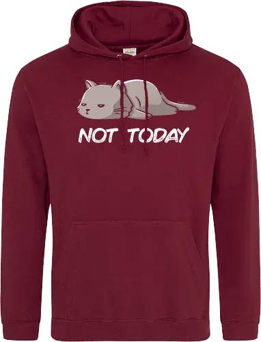 Not Today Cat