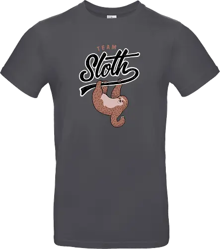 Team Sloth