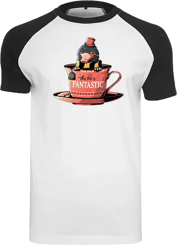 Fantastic T