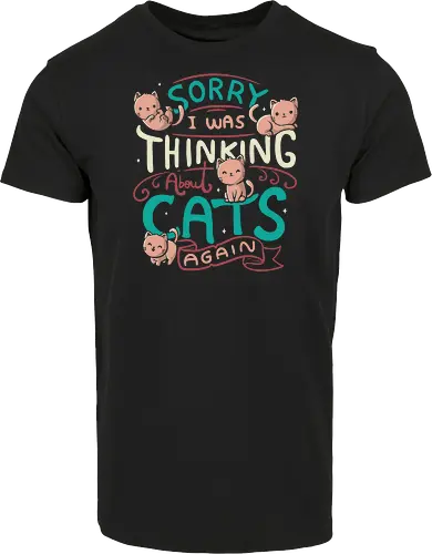 Thinking about Cats