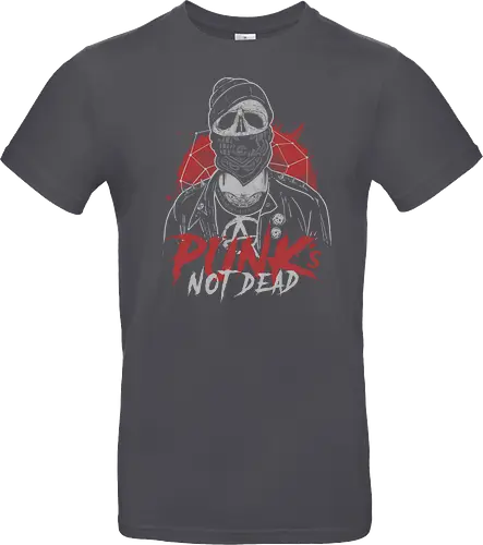 Punk's Not Dd
