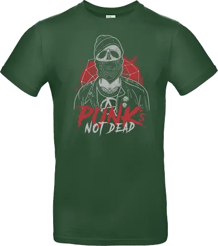 Punk's Not Dd