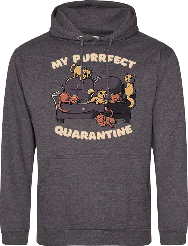 Purrfect Quarantine