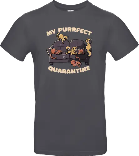 Purrfect Quarantine