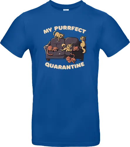 Purrfect Quarantine