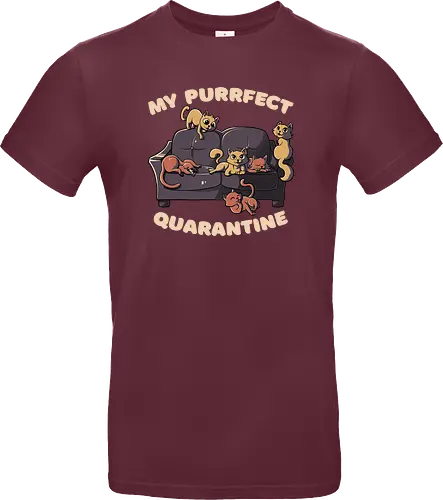 Purrfect Quarantine