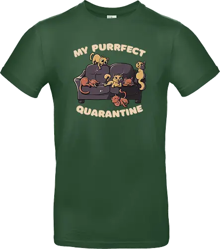 Purrfect Quarantine